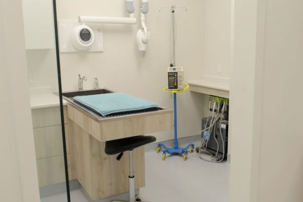 Dental Suite